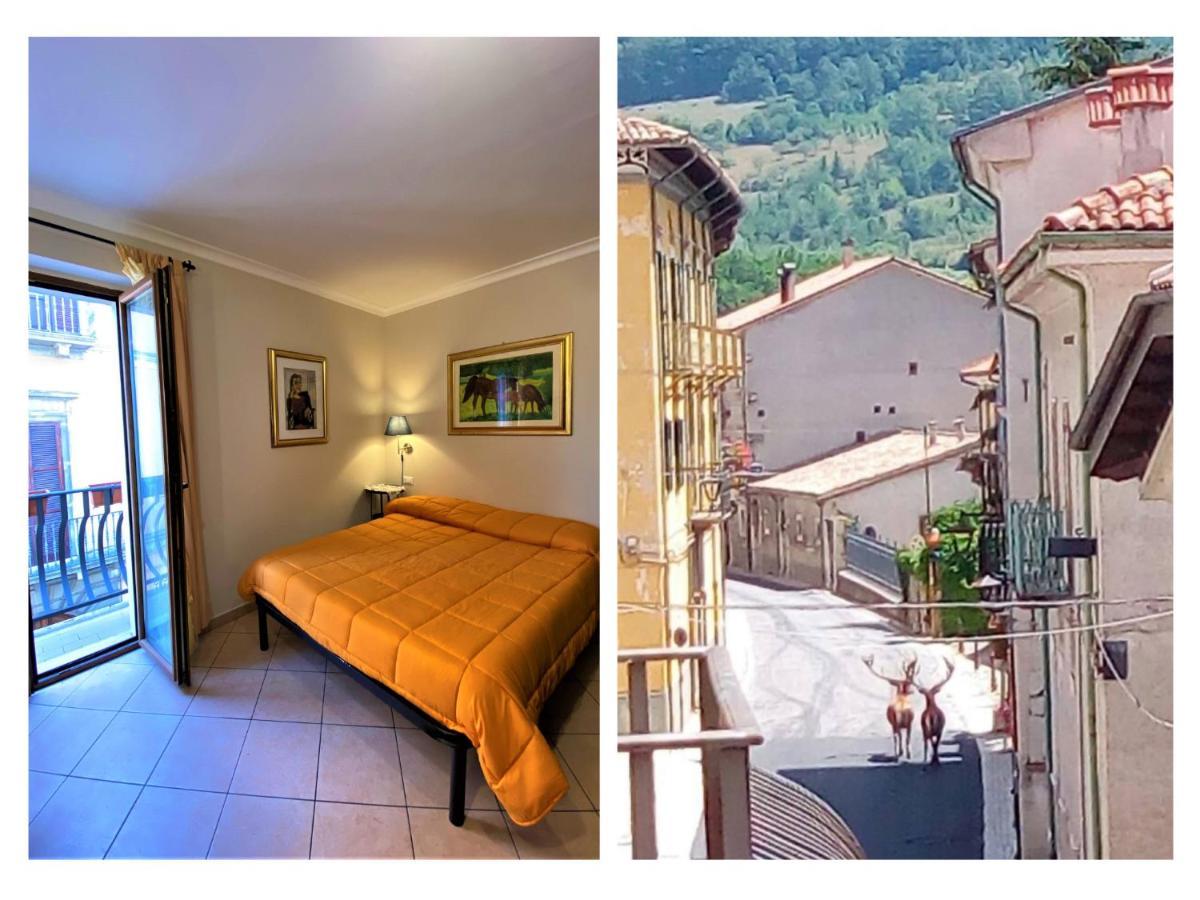 Europa Apartment